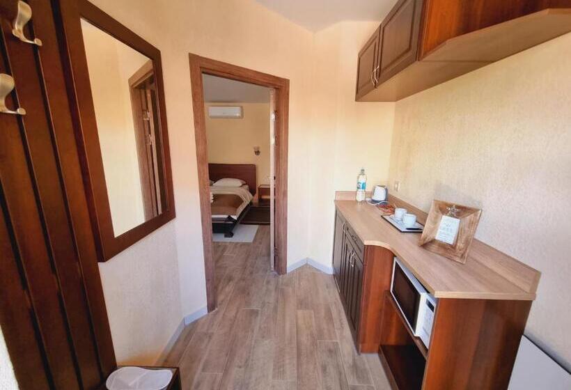 スタンダードバンガロー, ник аэро