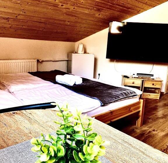 Трежместный Номер Economy, Fakanalas Fogadó