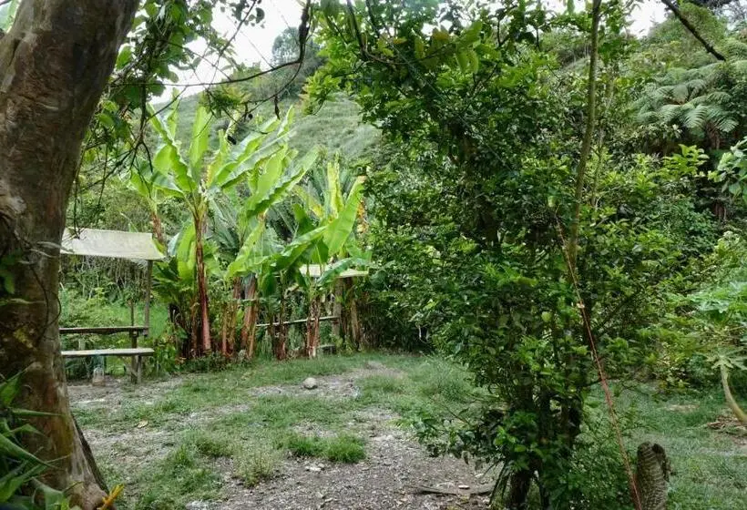 ルームシェアのワンベッド, Hostal Casa Victoria Pijao