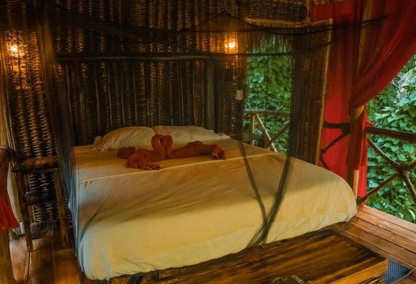 اتاق استاندارد با چشمانداز باغ, Dominican Tree House Village