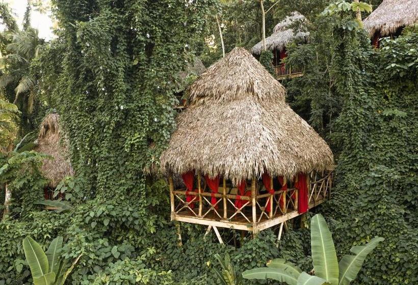اتاق استاندارد با چشم‌انداز باغ, Dominican Tree House Village