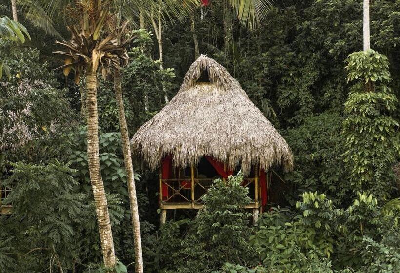 اتاق استاندارد, Dominican Tree House Village