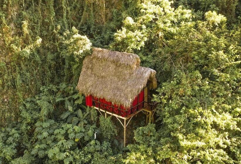 اتاق استاندارد با تخت بزرگ, Dominican Tree House Village