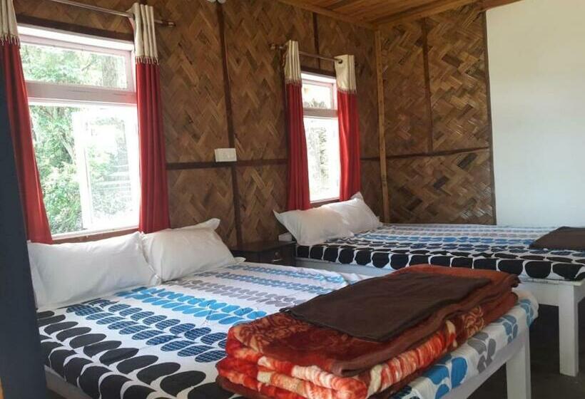 スタンダード４人部屋, Vamoose Hornbill