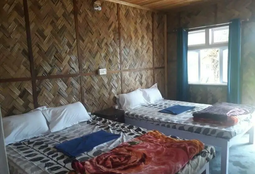 スタンダード4人部屋, Vamoose Hornbill