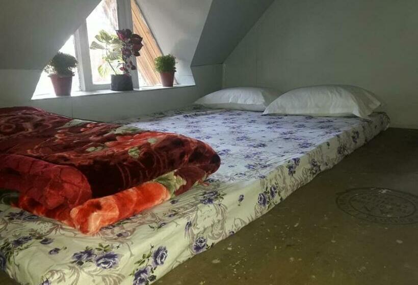 四人标准间, Vamoose Hornbill