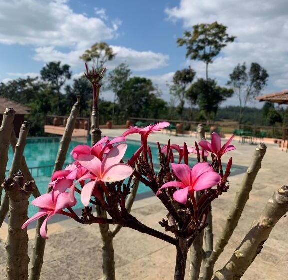 豪华房间, Machaan Plantation Resort, Sakleshpur