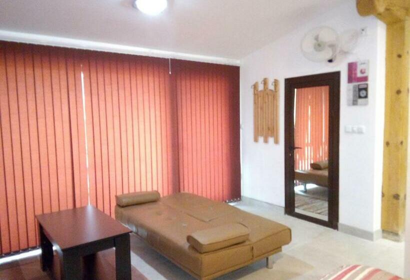 Номер Стандарт Трехместный, Studio Apartment In Palamartsa