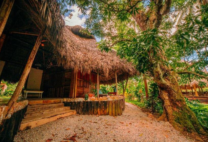 اتاق لوکس, El Valle Lodge