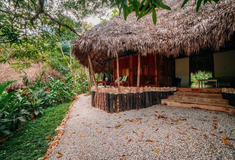 اتاق لوکس, El Valle Lodge