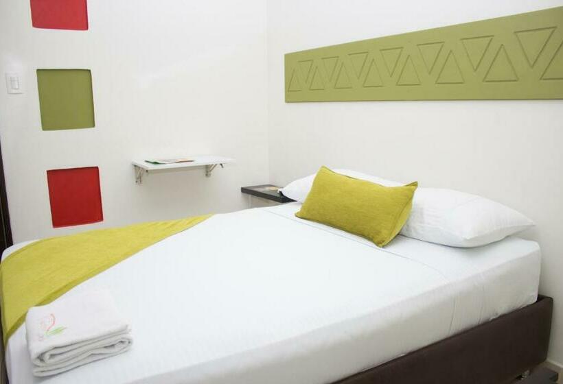 标准单人间, Terra Toscana