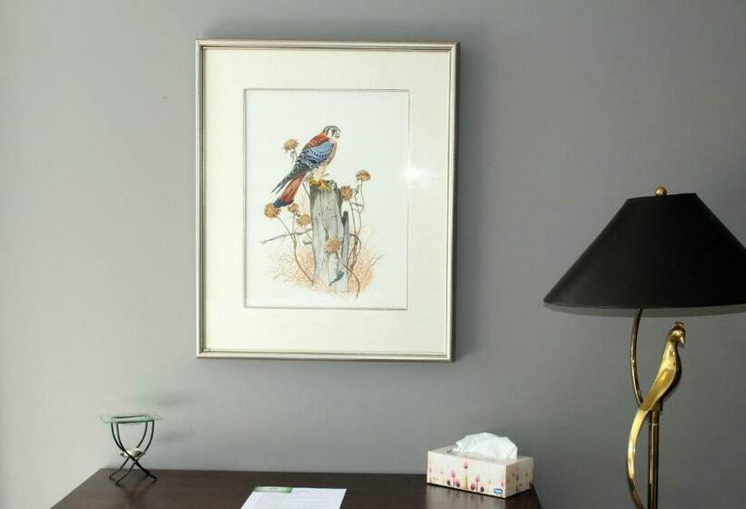 חדר סטנדרט לשלושה, Tailwinds B&b