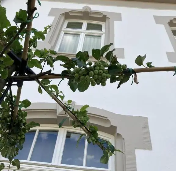 1ベッドルームアパートメント, Gästehaus Cantzheim