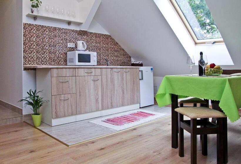 شقة ديلوكس غرفة واحدة, Pension U Pálenice