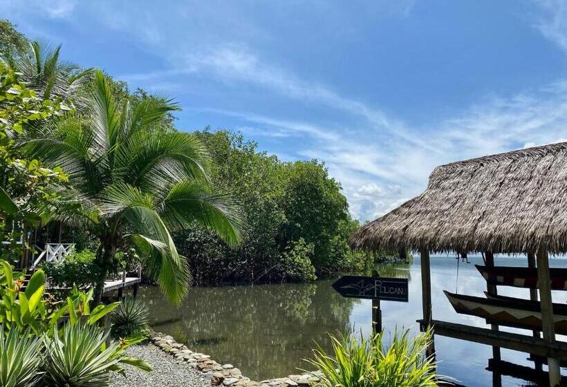 بانگلوی لوکس, Finca Vela Lodge