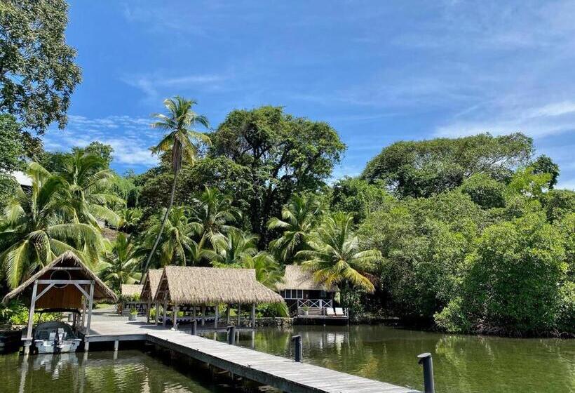 بانگلوی لوکس, Finca Vela Lodge