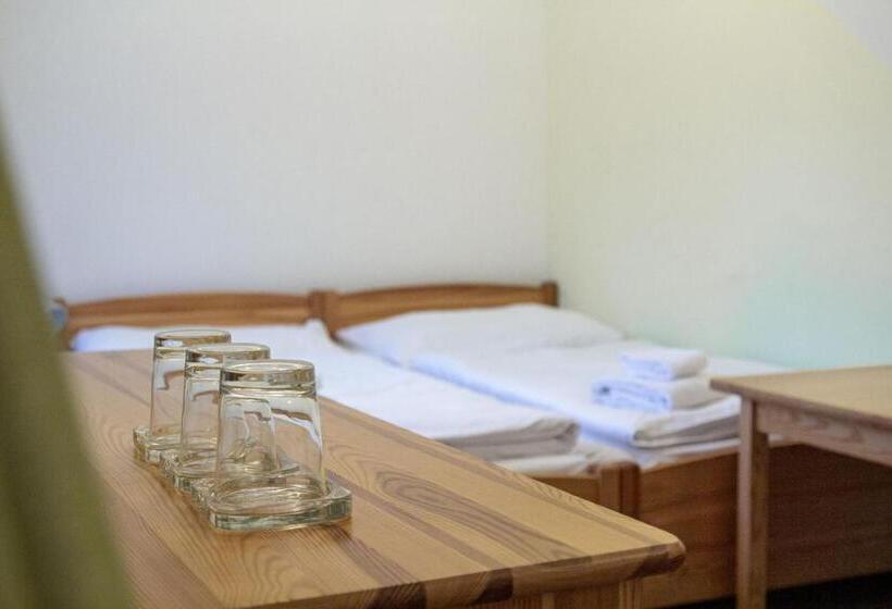 스탠다드 트리플 룸, Tynec