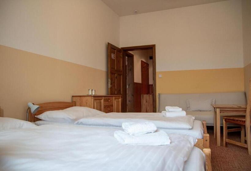 수피리어 패밀리 룸, Tynec