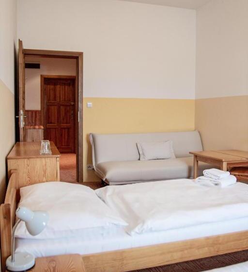 수피리어 패밀리 룸, Tynec