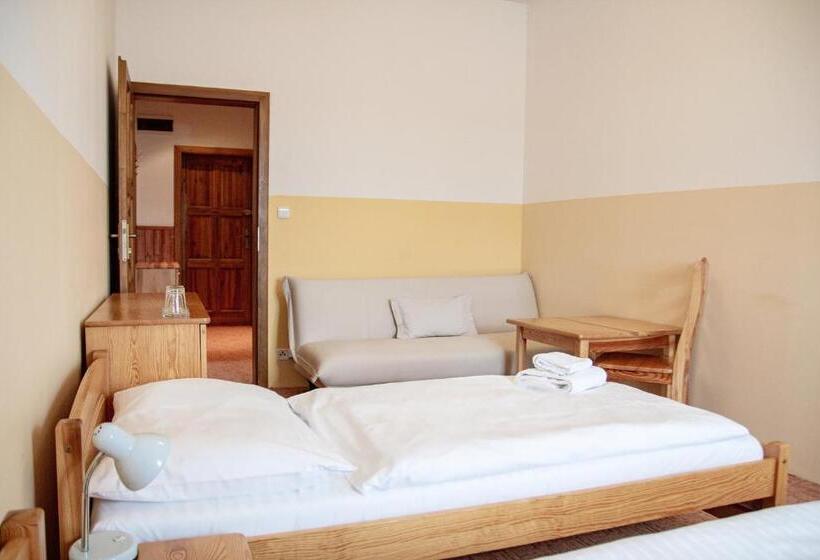 수피리어 패밀리 룸, Tynec