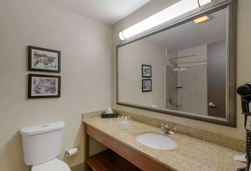 سوییت, Comfort Suites Columbus State University Area