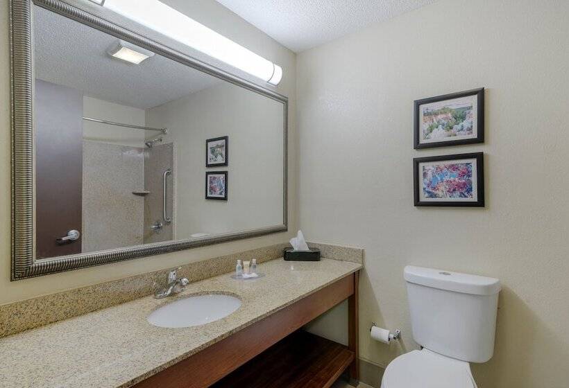 סוויטה, Comfort Suites Columbus State University Area