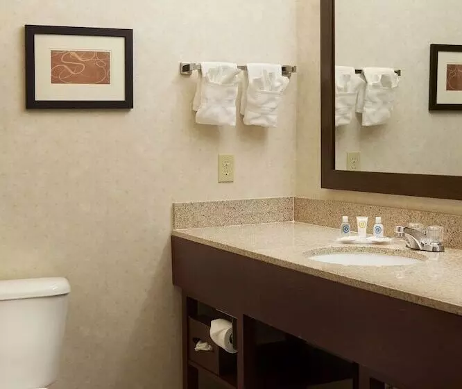 スイート, Comfort Suites Lake Geneva East