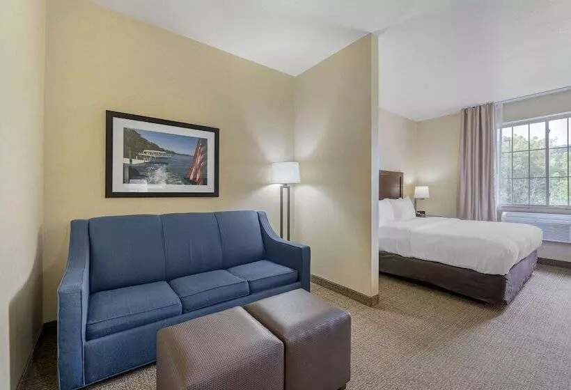 身障者適用スイートルーム, Comfort Suites Lake Geneva East