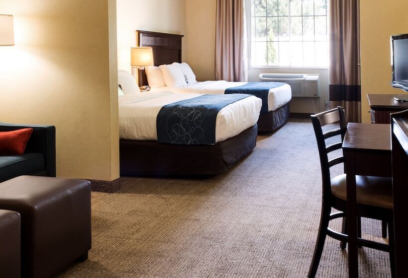 جناح لذوى الاحتياجات الخاصة, Comfort Suites Lake Geneva East