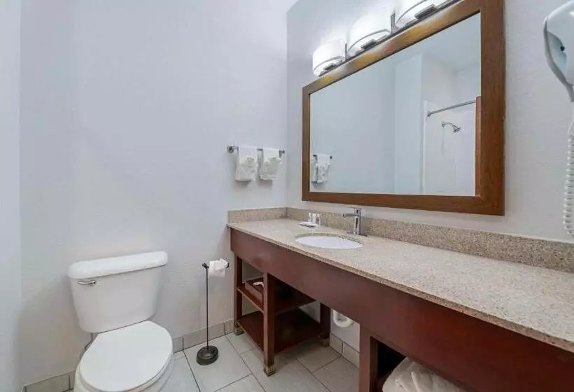 キングサイズベッドのスイートルーム, Comfort Suites Lake Geneva East