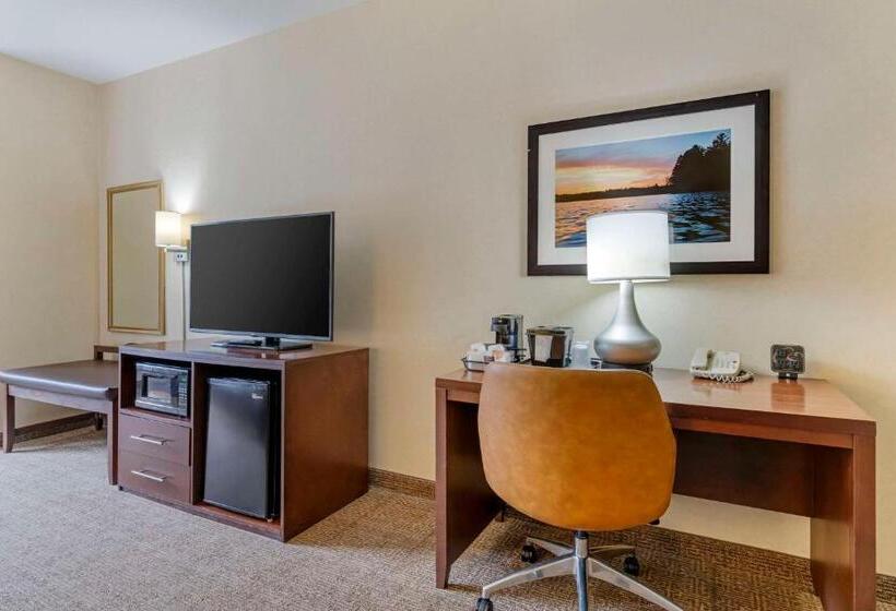 جناح سرير كينج, Comfort Suites Lake Geneva East