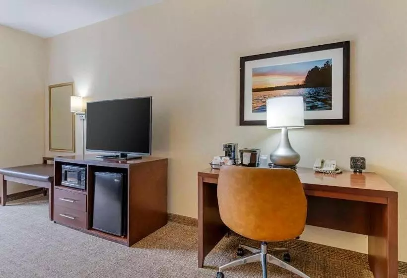 キングサイズベッドのスイートルーム, Comfort Suites Lake Geneva East