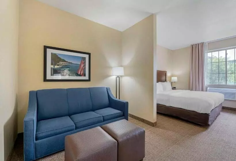 キングサイズベッドのスイートルーム, Comfort Suites Lake Geneva East