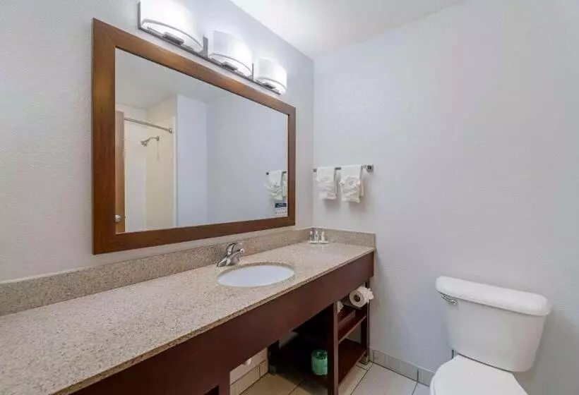 スイート, Comfort Suites Lake Geneva East