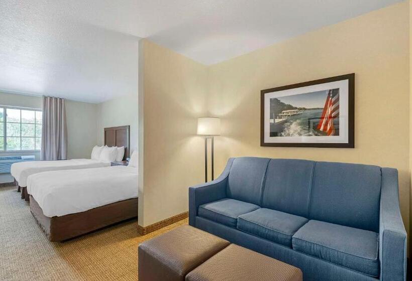 جناح, Comfort Suites Lake Geneva East