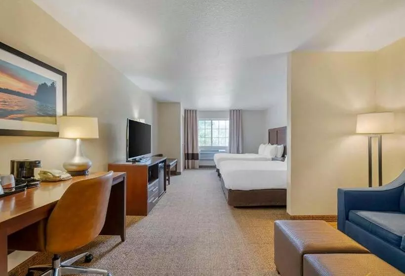 スイート, Comfort Suites Lake Geneva East