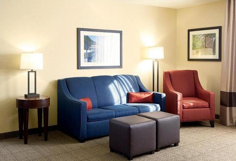 جناح سرير كينج, Comfort Suites Lake Geneva East