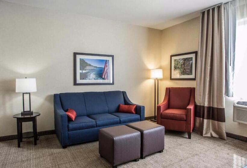 جناح سرير كينج, Comfort Suites Lake Geneva East