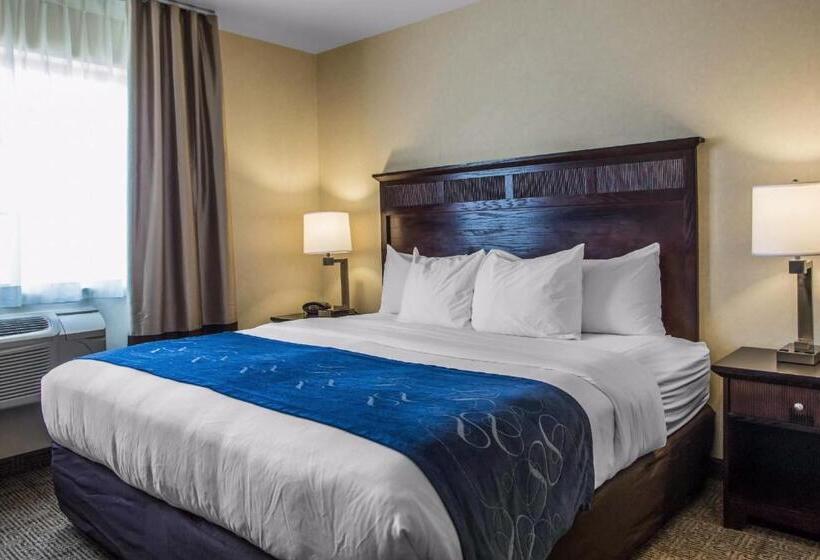 جناح سرير كينج, Comfort Suites Lake Geneva East