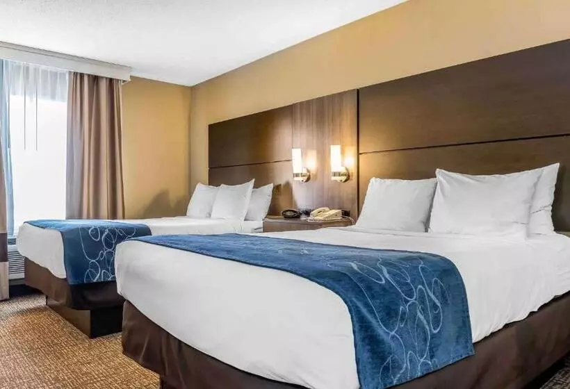 スイート, Comfort Suites Miamisburg   Dayton South