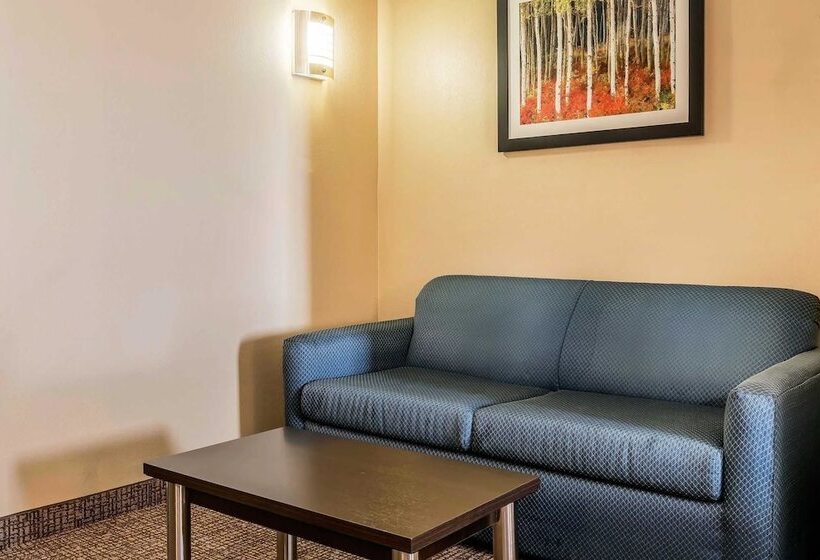 Люкс, Comfort Suites Miamisburg Dayton South