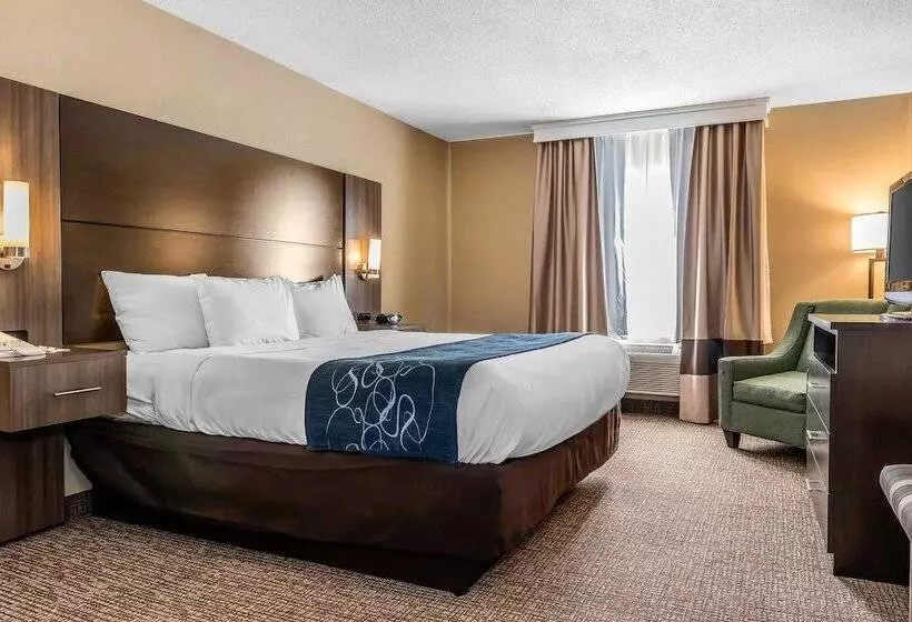 スイート, Comfort Suites Miamisburg   Dayton South