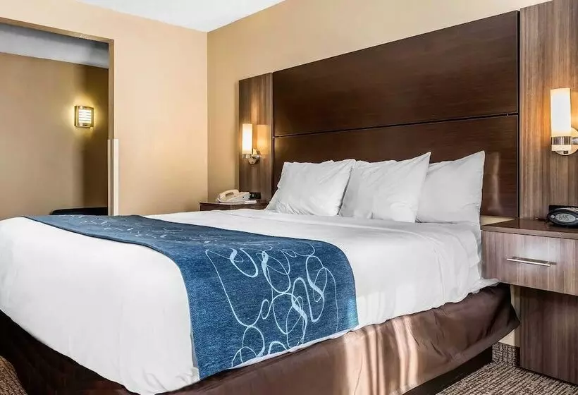スイート, Comfort Suites Miamisburg   Dayton South
