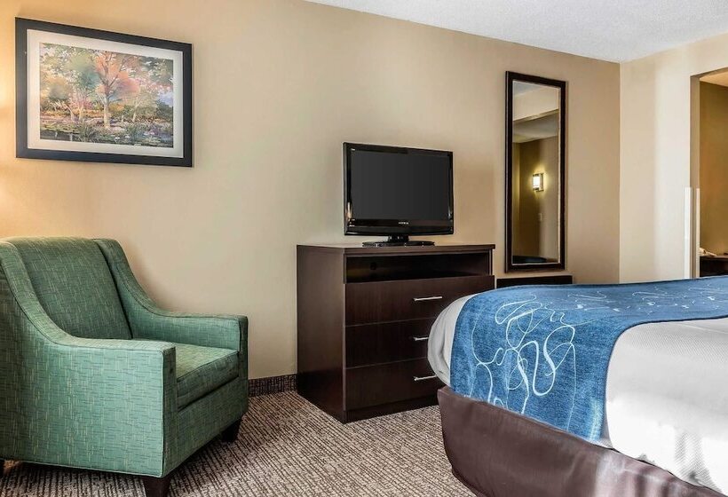 Люкс, Comfort Suites Miamisburg Dayton South