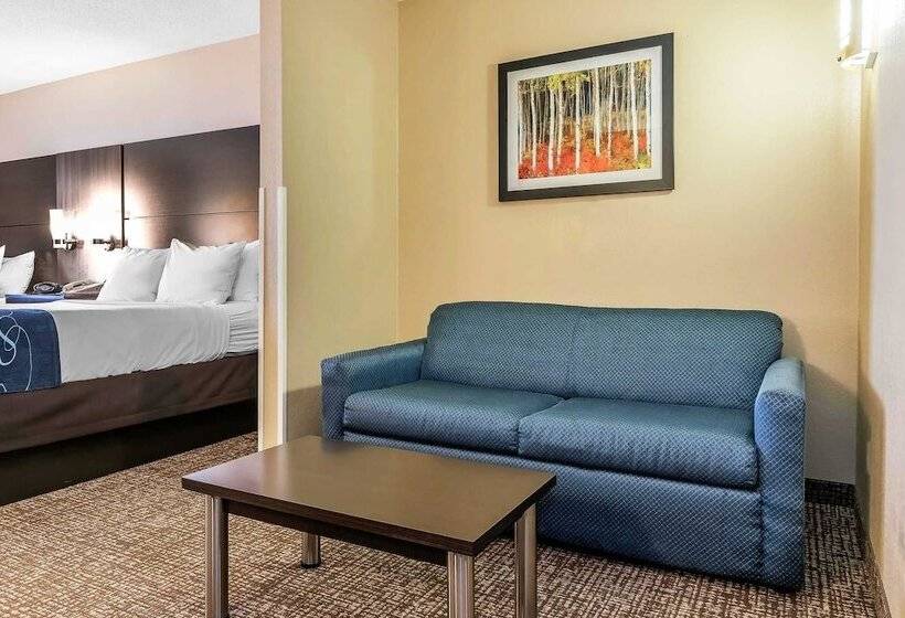 Люкс, Comfort Suites Miamisburg   Dayton South