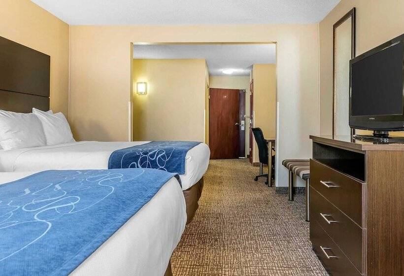 Люкс, Comfort Suites Miamisburg Dayton South