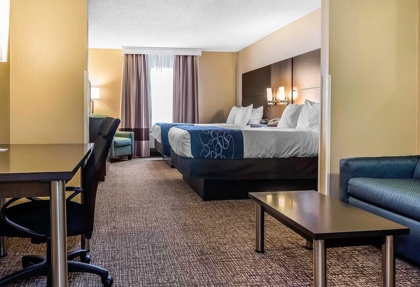Люкс, Comfort Suites Miamisburg Dayton South