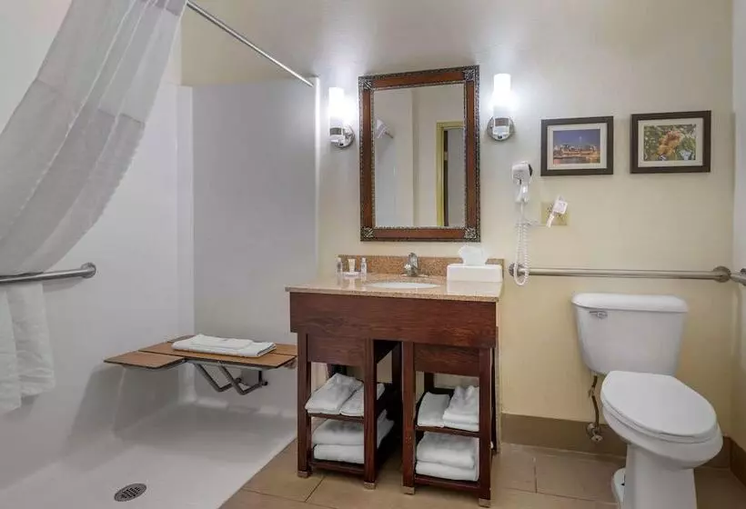 身障者適用スイートルーム, Comfort Suites Miamisburg   Dayton South