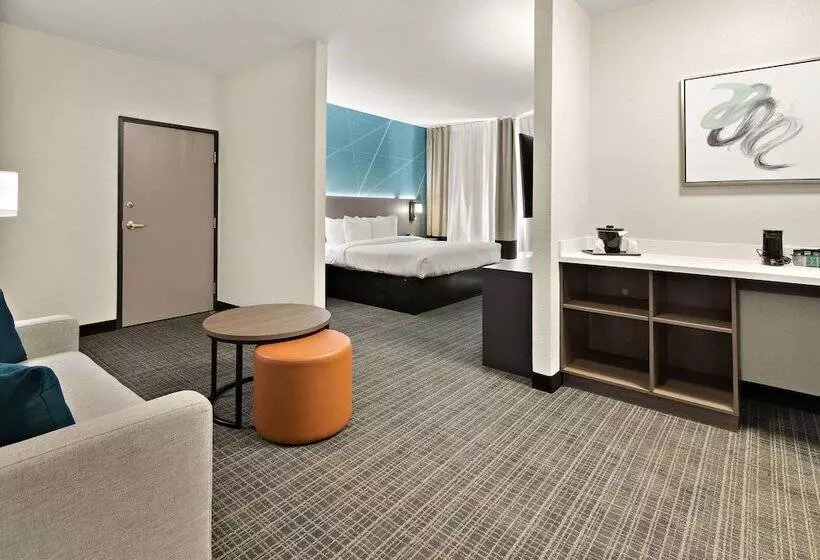 スイート, Comfort Suites Fort Worth North Fossil Creek
