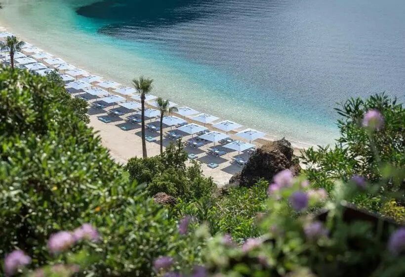Suite, D Maris Bay